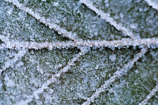 frozen ice crystals in the cold nature