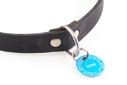 Dogs collar with vaccination tag from 2009; isolated on white.