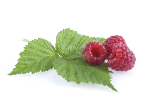 Three raspberries on a leaf isolated on white.