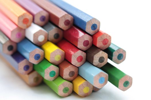 Color pencil buds