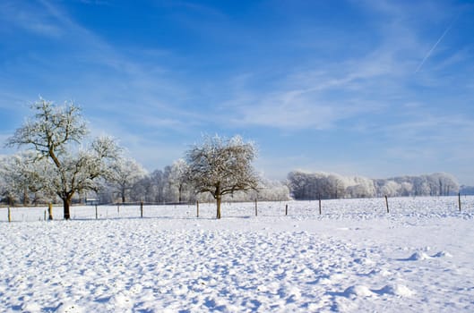 Wonderful snowy scene with a clear blue sky.
