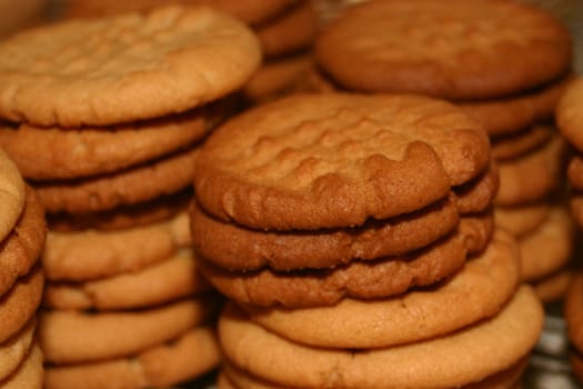 These are stacks of peanut butter cookies fresh out of the oven.