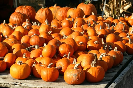 This is a display of pumpkins on a farm trailer that are for sale.