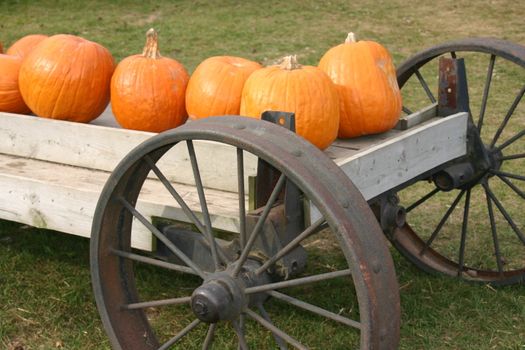 These pumpkins are on a farmers cart ready for sale.