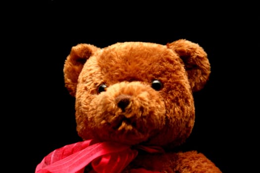 Soft brown teddy bear isolated on black with a red neckerchief looking straight. 