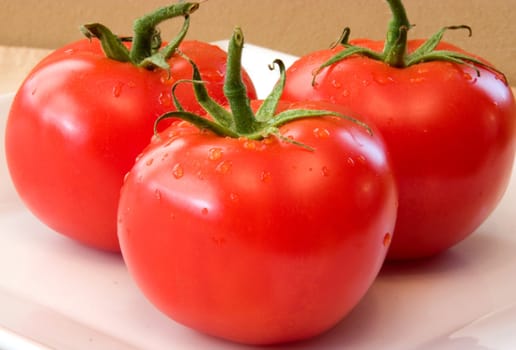 Fresh Vine Ripened Tomatoes on a white plate.
Red Tomatoes hand picked for the grocery market
These will add fresh ingredients to your vegetable list