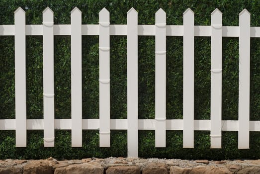 White wooden fence with hedge in background