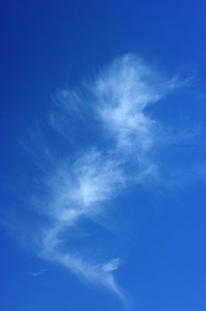 Sky with cloud. Cloud look like sea-horse