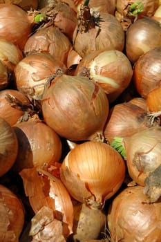 Fresh onions. Taken at a marketplace.