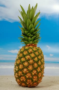 Pineapple on an exotic beach with blue and cloudy sky