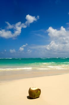 A Coconut drink on exotic beach at the Dominican Republic