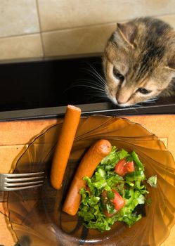Cat quietly went to the table, hoping to steal a sausage dish