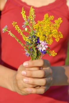 various summer field flowers bouquet in girl hands