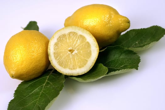 citrus,
