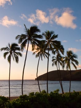 Sunrise on a tropical island with palms and a beach.