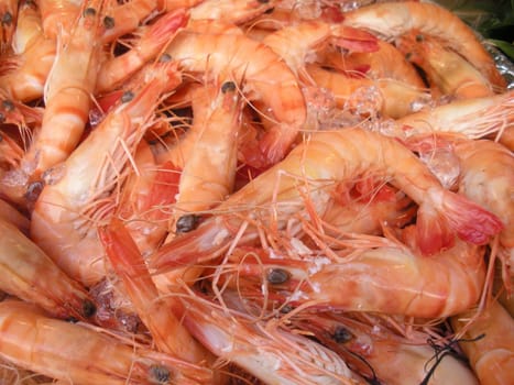 pile of fresh shrimp