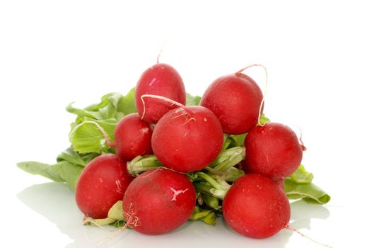 Fresh red radish isolated on white background