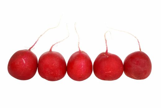 Fresh red radish isolated on white background