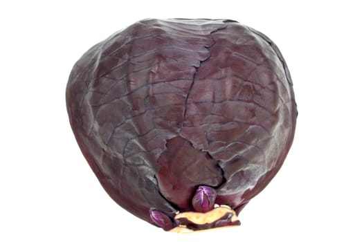 Red cabbage isolated on white background