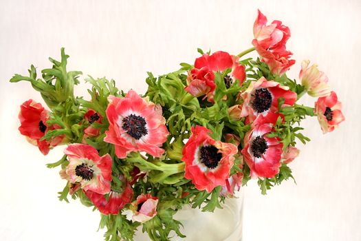 Bouquet of beautiful flowers in a glass vase