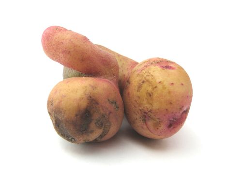 Potato reminding a man's penis. A joke of the nature