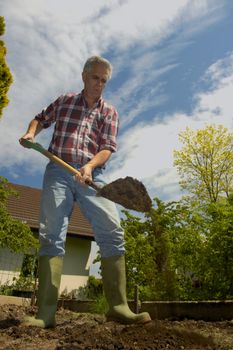 A man, turning over soil in the garden, taken from a low viewpoint. A little motion blur on the soil as it falls off the spade. His house can be seen in the background.