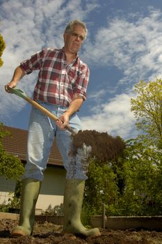 A man, turning over soil in the garden, taken from a low viewpoint. A little motion blur on the soil as it falls off the spade. His house can be seen in the background.