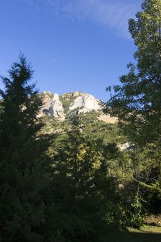 nature image of mountains an green trees and forest