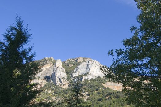 nature image of mountains an green trees and forest