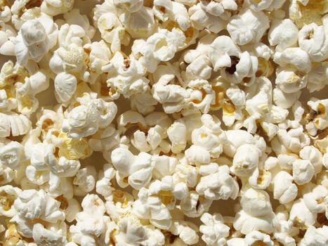 Pop corn maize useful as a background