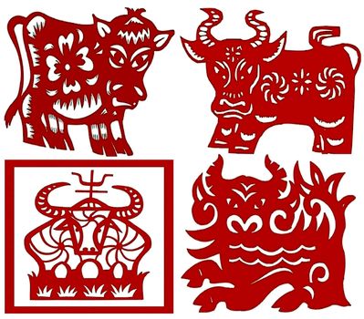 Chinese paper-cut Chinese zodiac cattle