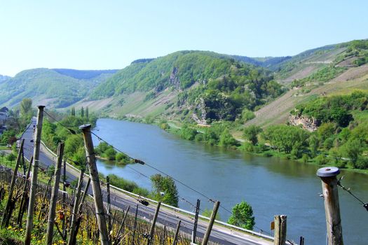 Moseltal bei Burg
