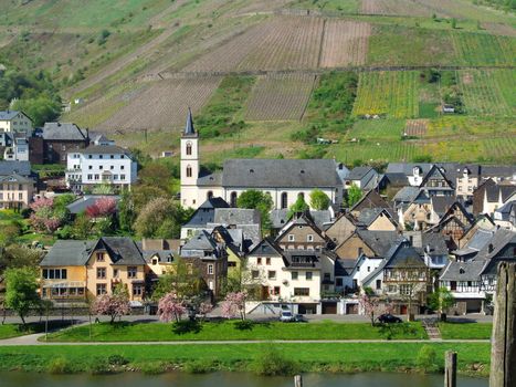 Reil an der Mosel mit Kirche
