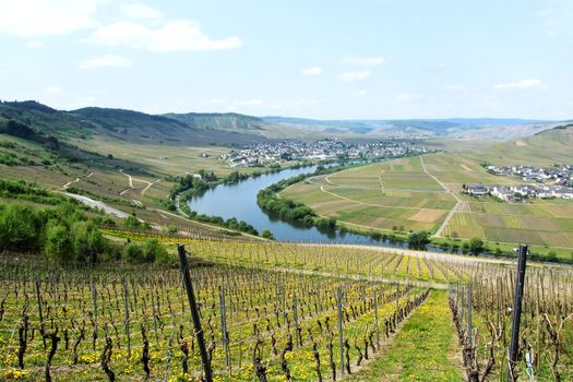 Mosel bei Leiwen
