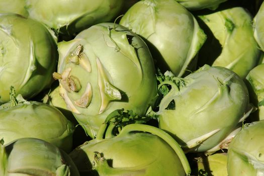 fresh kohlrabi cabbage