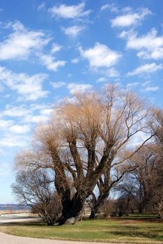 The spring, under the first beams of the sun the nature yet did not begin awakening 