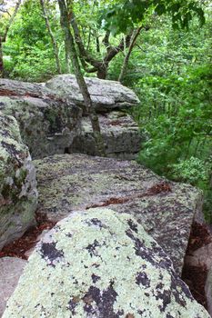 Giant rocks in the forest at Cheaha State Park in Alabama.