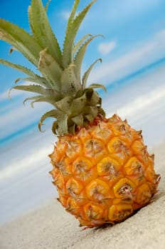 Pineapple on an exotic beach with blue and cloudy sky.