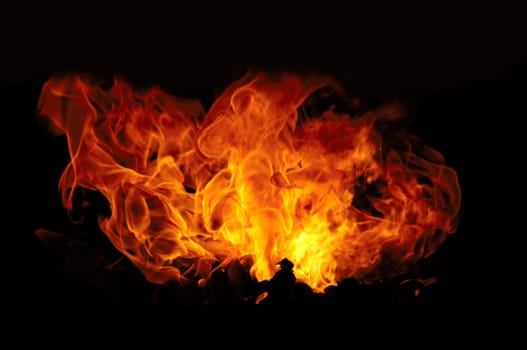 Fire isolated on a black background.
