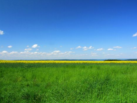 Himmel, Feld und Wiese