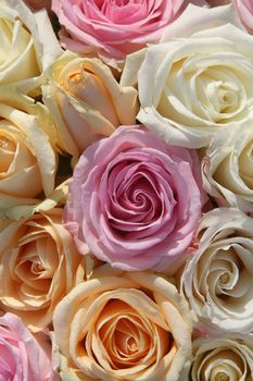 A floral arrangement made off big pastel orange, white and pink roses
