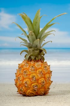 Pineapple on an exotic beach with blue and cloudy sky.