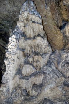 stalagmite in Magura cave Bulgaria