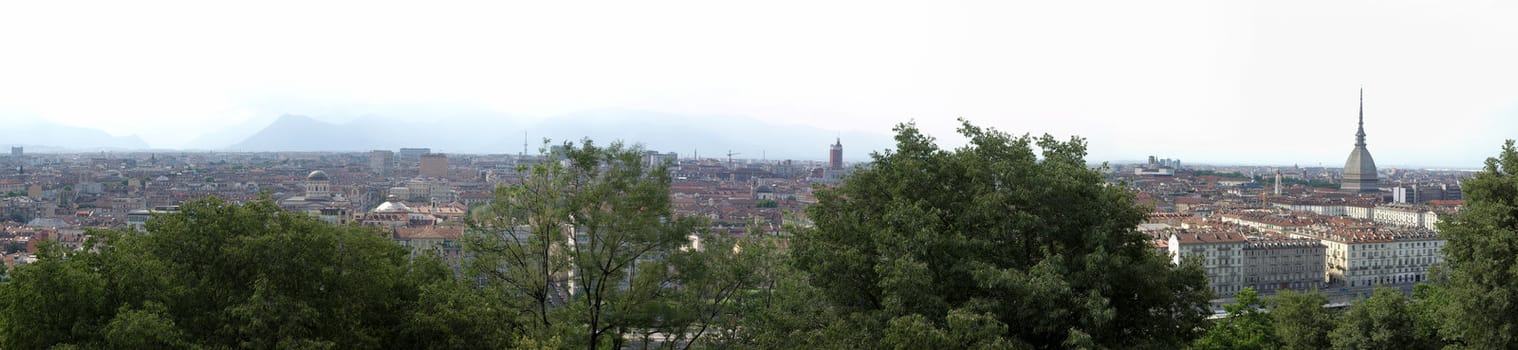 Turin skyline panorama seen from the hill, with Mole Antonelliana (famous ugly wedding-cake building)