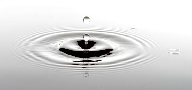 A drop ripples through the pure water