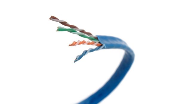 Category 6 network cable curving forward and to the left.