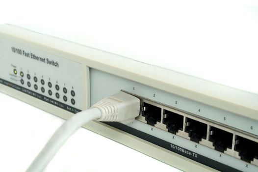Close up of a network cable plugged into a switch.