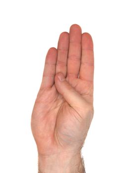 How to sign the letter B using American Sign Language