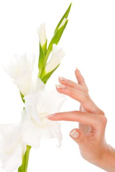 Closeup image of beautiful nails and woman fingers