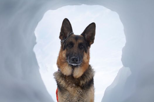 If you are buried in an avalanche, who could imagine a more welcome sight that your hero looking down a hole at you.